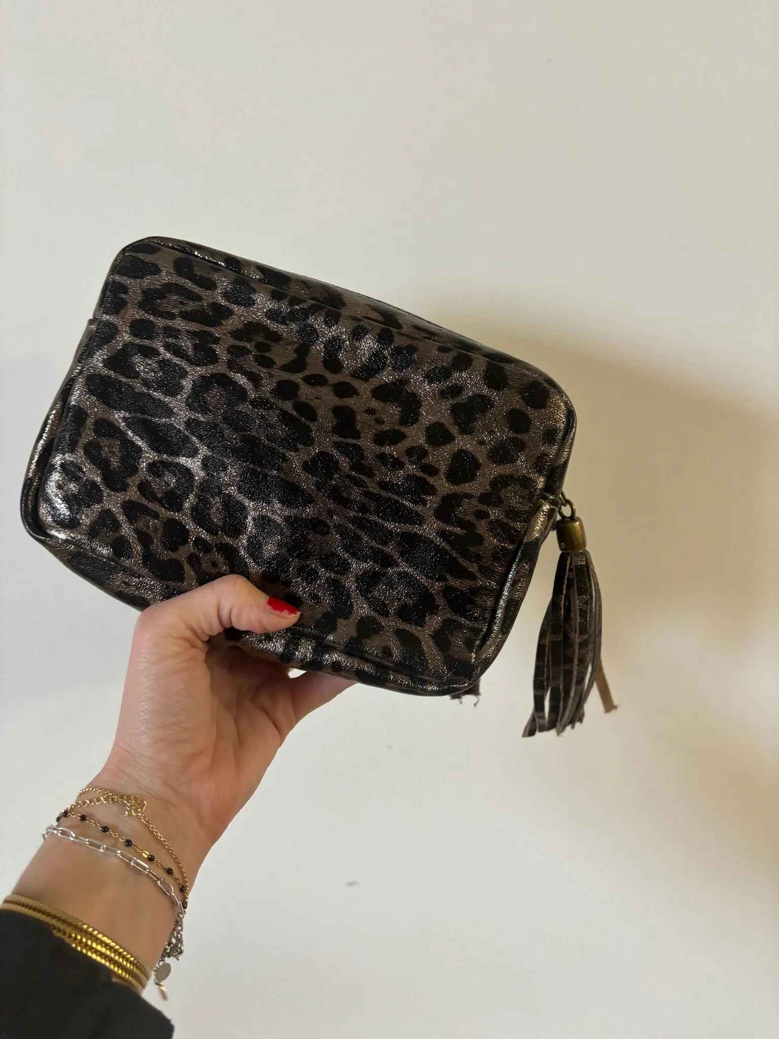 Leopard Print Tassel Crossbody Camera Bag