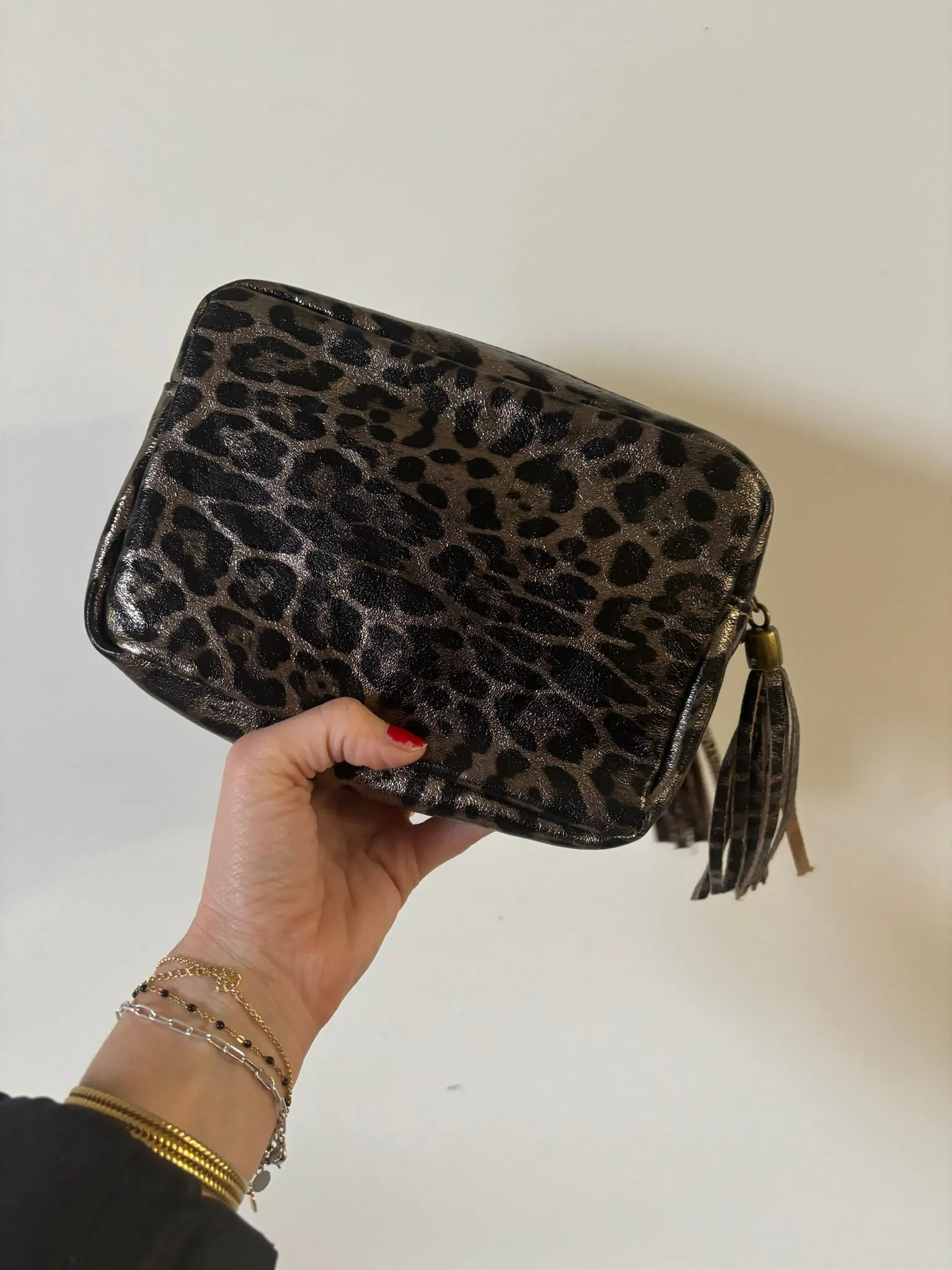 Leopard Print Tassel Crossbody Camera Bag