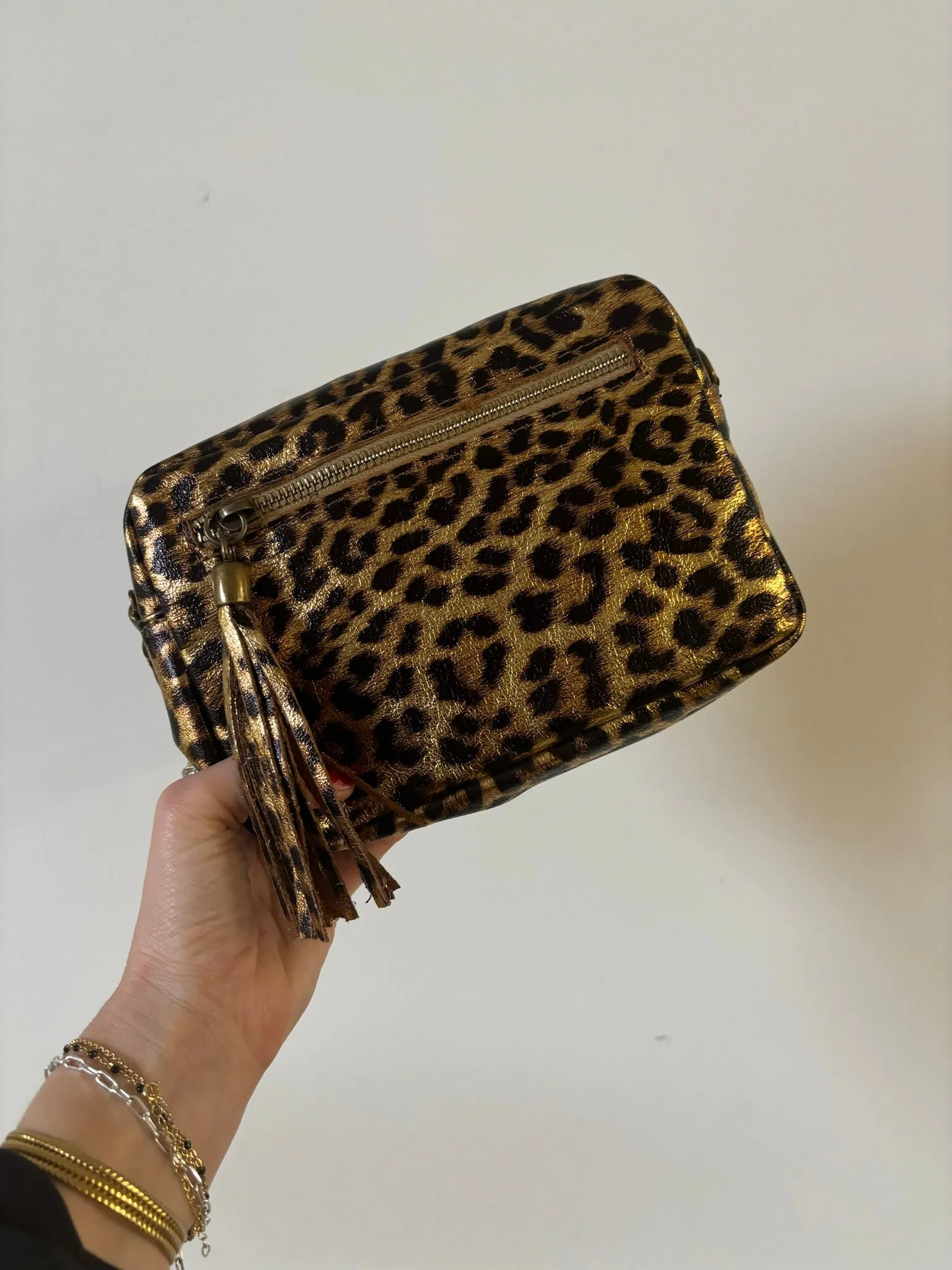 Leopard Print Tassel Crossbody Camera Bag