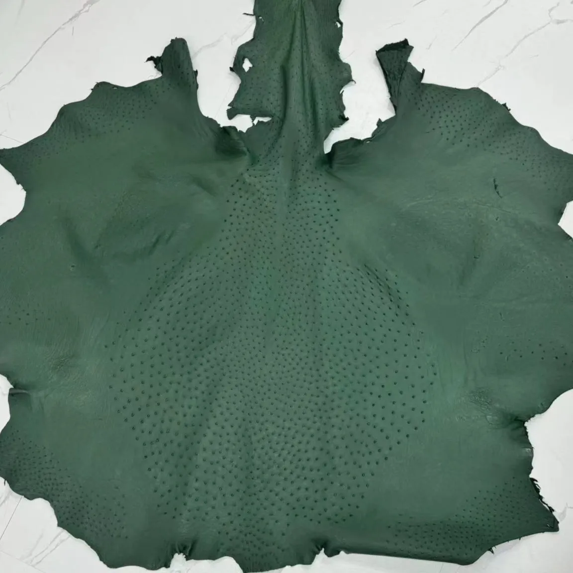 Ostrich Leather Skin