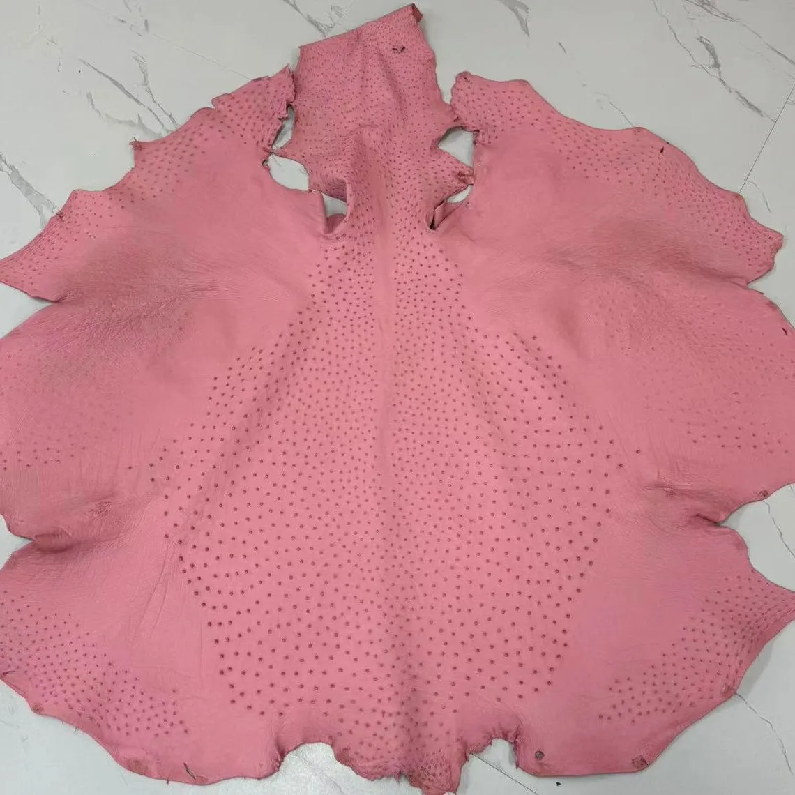 Ostrich Leather Skin