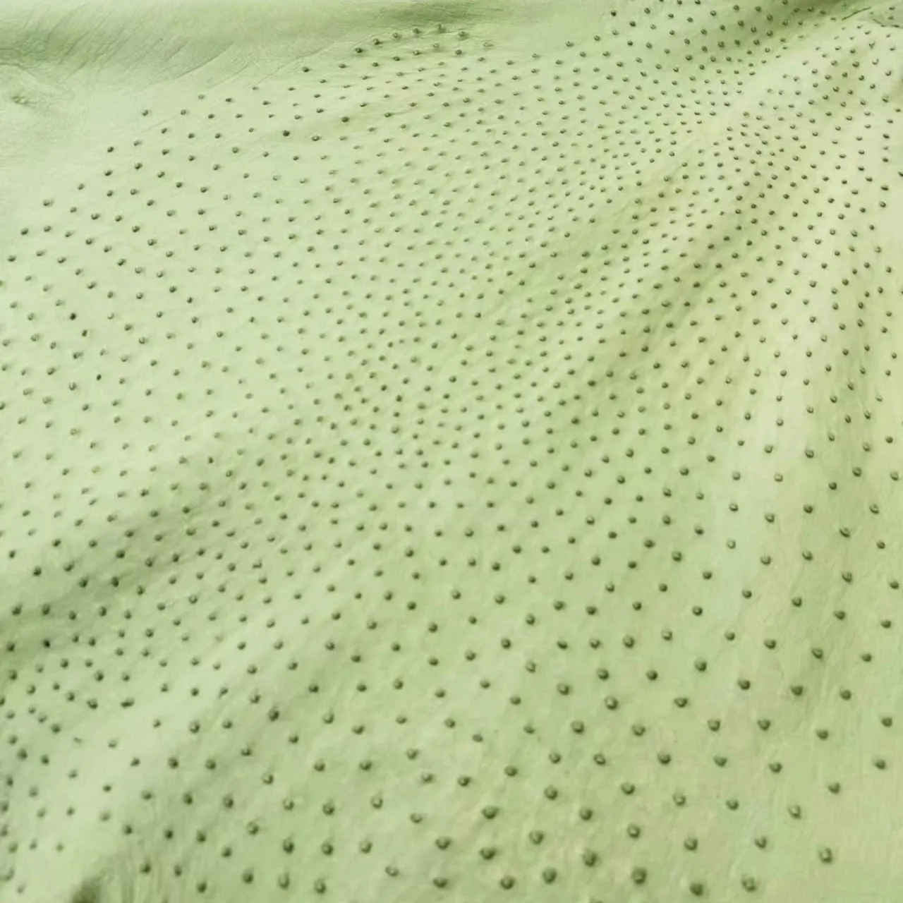 Ostrich Leather Skin