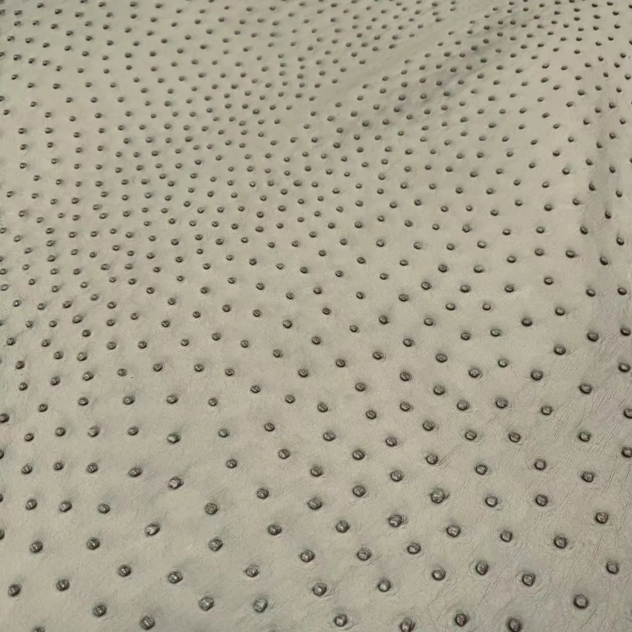 Ostrich Leather Skin