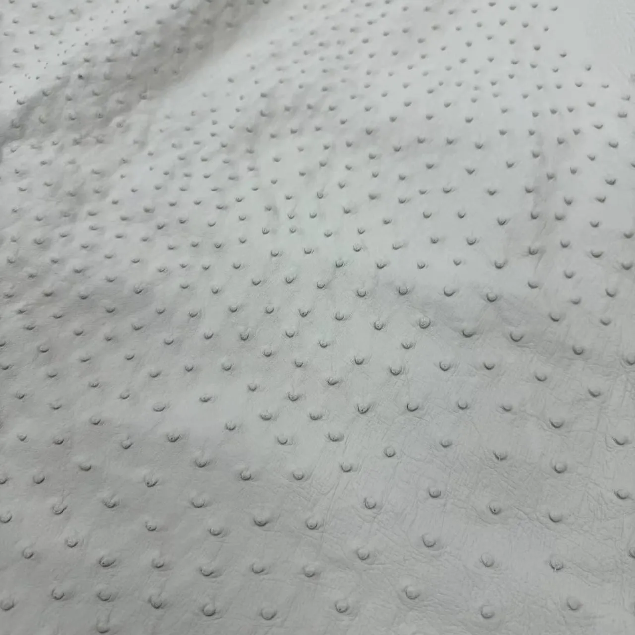 Ostrich Leather Skin