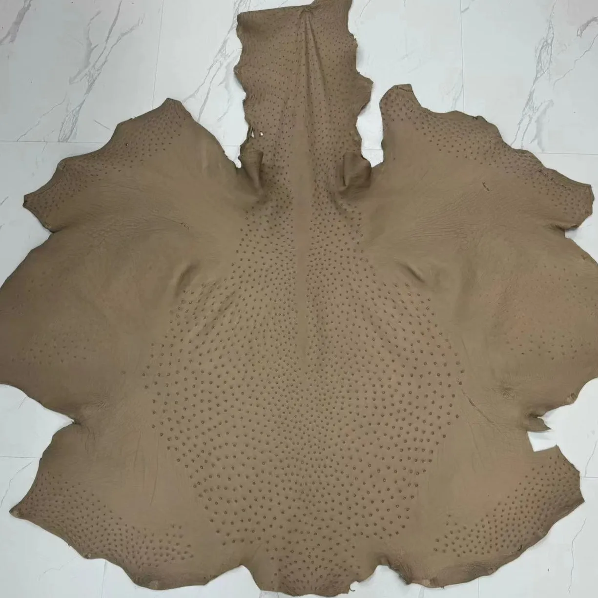 Ostrich Leather Skin