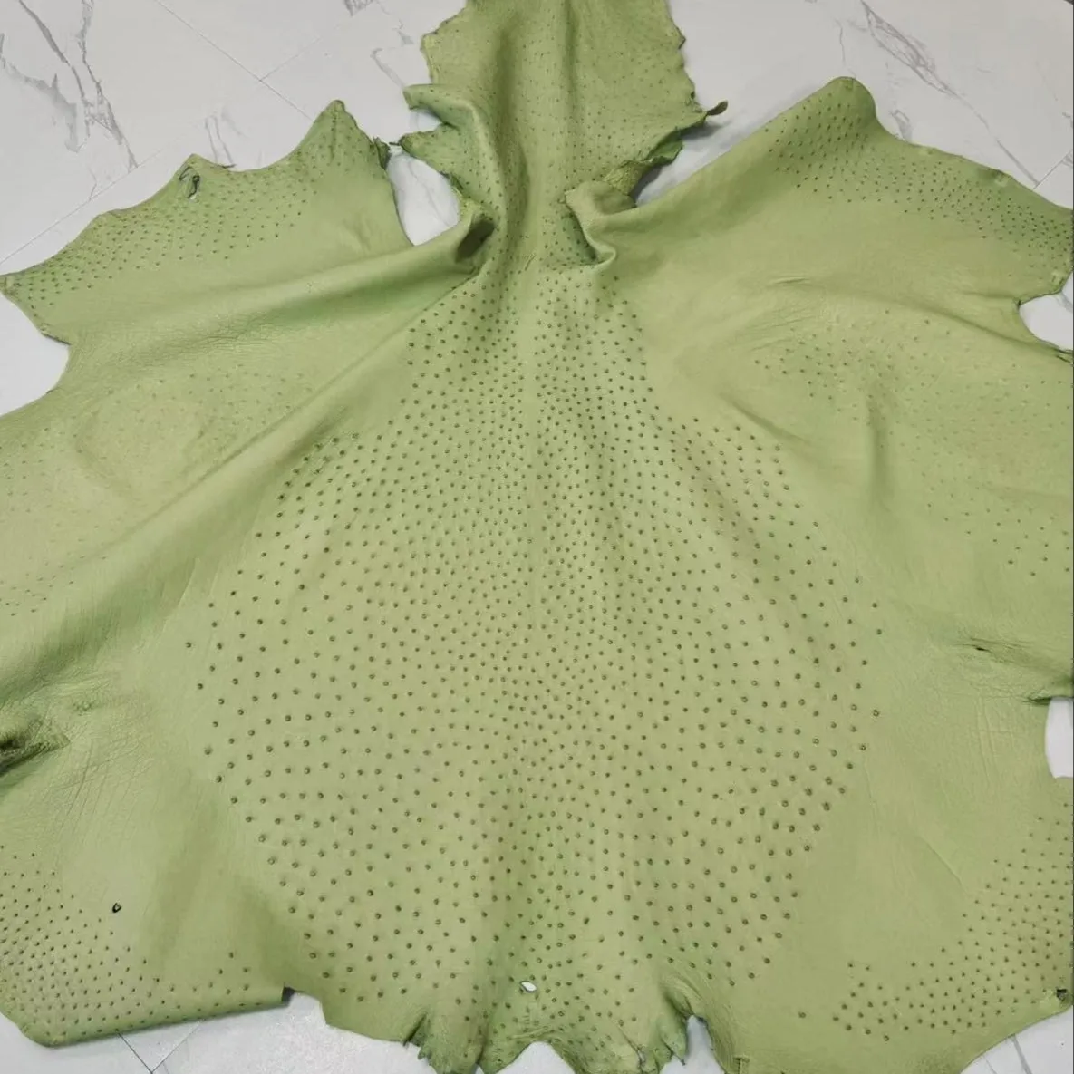 Ostrich Leather Skin