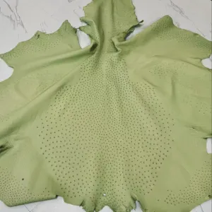 Ostrich Leather Skin