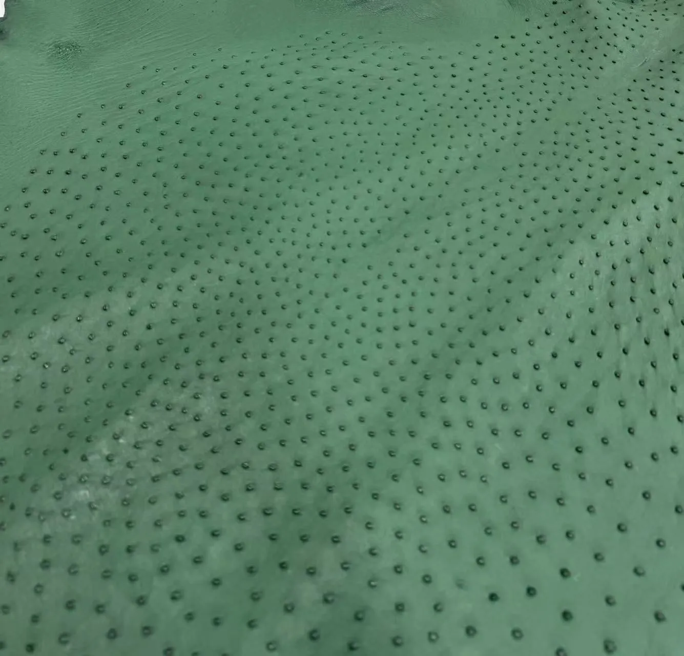 Ostrich Leather Skin