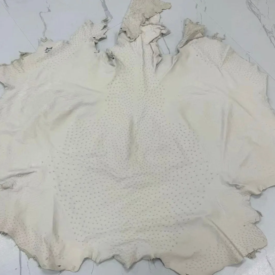 Ostrich Leather Skin