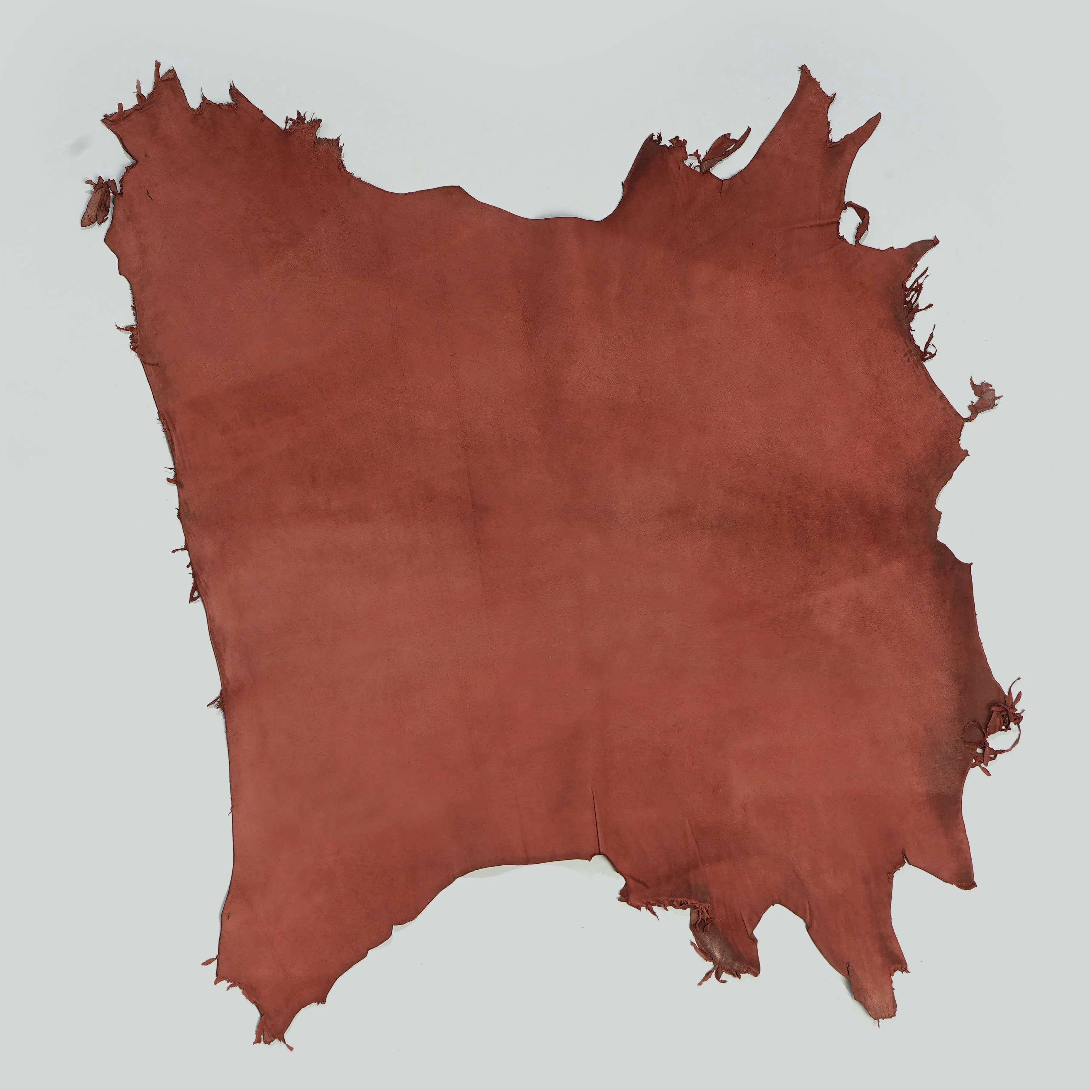 Qawach Lambskin Skin Hides Leather SOFT PREMIUM Burnt Maroon Each Skin 6 sqf