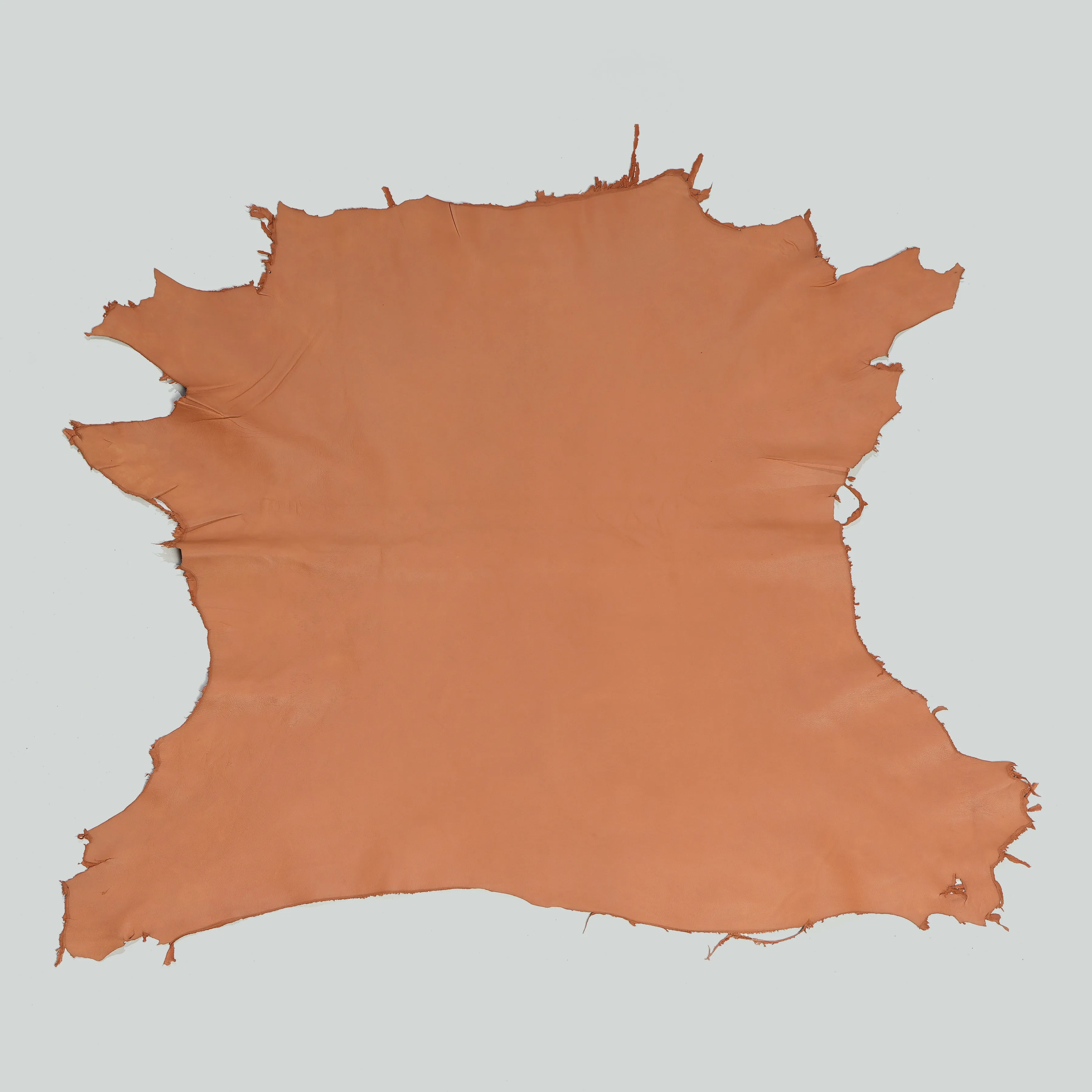 Qawach Real Lambskin Skin Hide Each Skins Hides SOFT PREMIUM BELLA BROWN 6 sqf